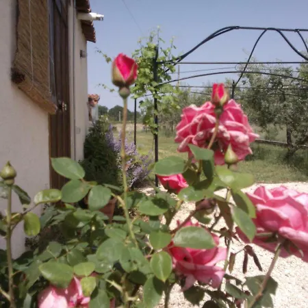 Panzió B&B Villa Augusta *